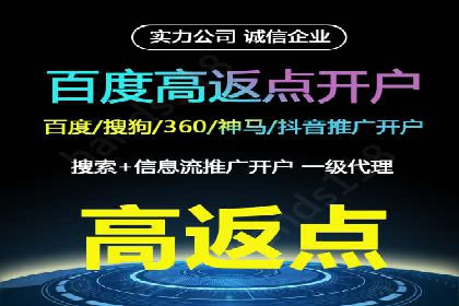 专业SEM服务公司案例分析报告
